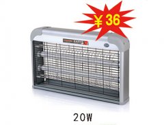 20W