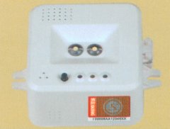 1206吸顶灯应急伴侣